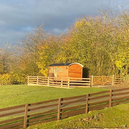 Villa The Snug At Coed Y Gaer Oswestry Esterno foto